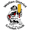 Wallan District Cricket Club magpie badge